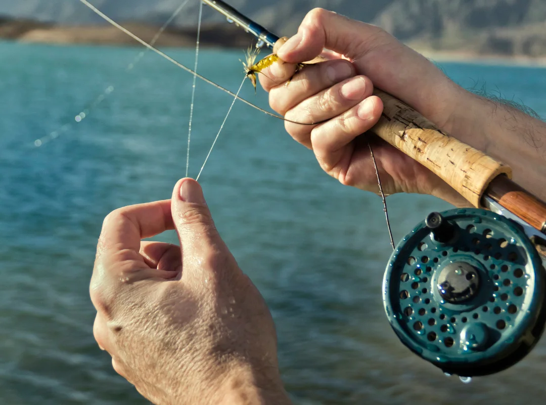 Fly Fishing Frontier Anglers TN