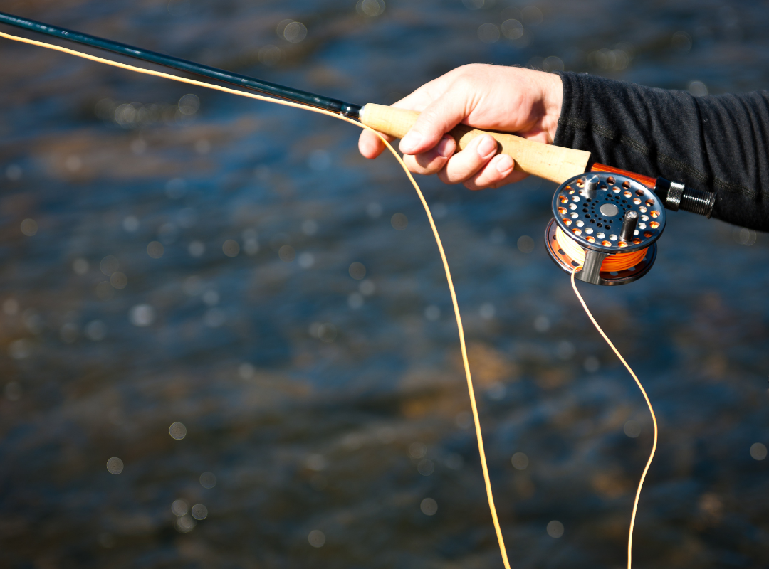 Fishing for Wild Trout Frontier Anglers Tn