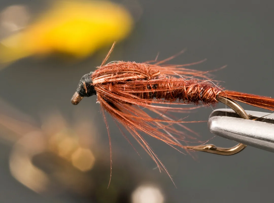 Best Fly Fishing Forceps for Hook Removal in Tennessee