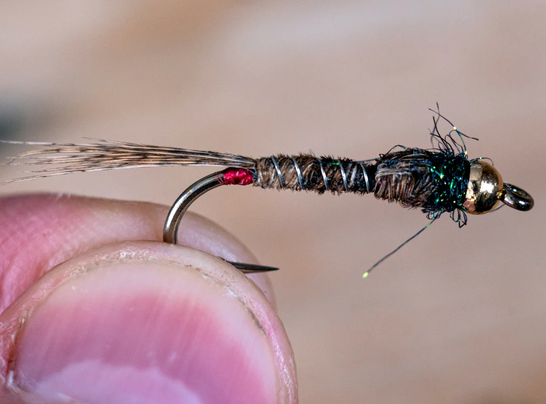 Fishing Hare’s Ear Nymph Caney Fork Rivers
