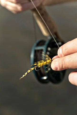 Frontier Anglers TN Trout Fishing Holston River