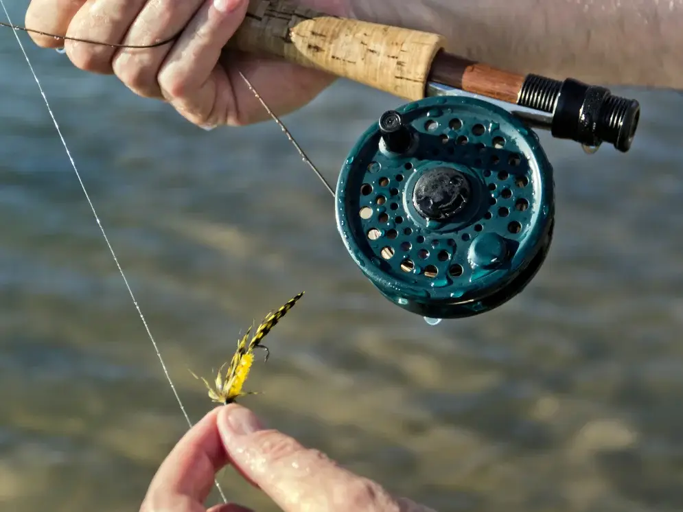 How to Replace the Fishing Line Frontier Anglers TN