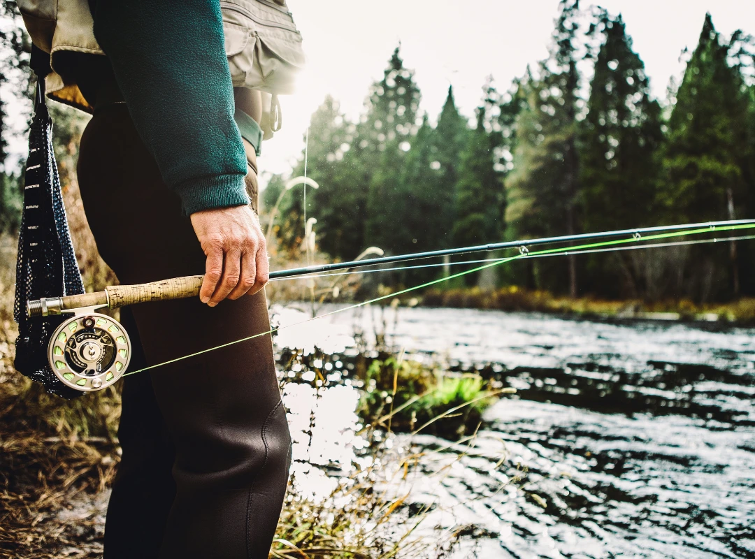 How to Float Fish at Night