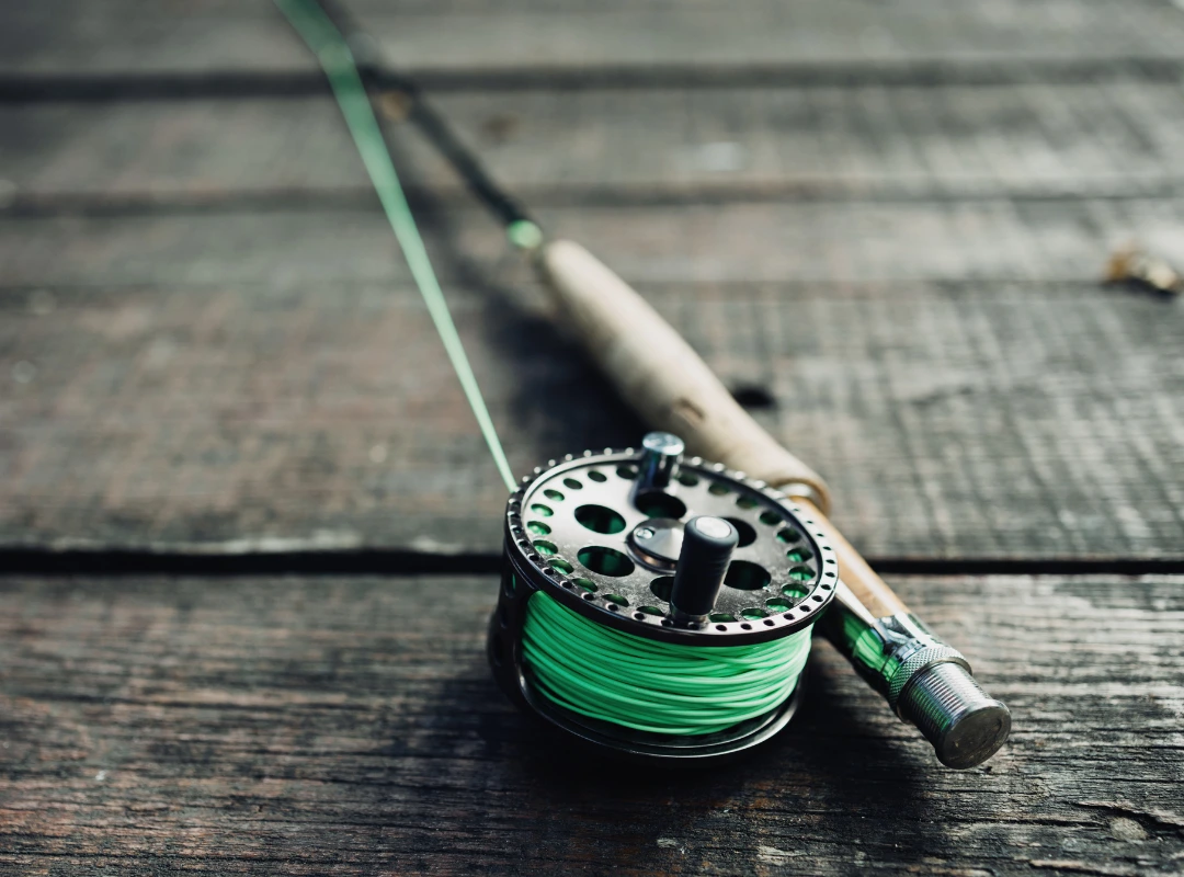 Are Wet or Dry Flies Better for Trout