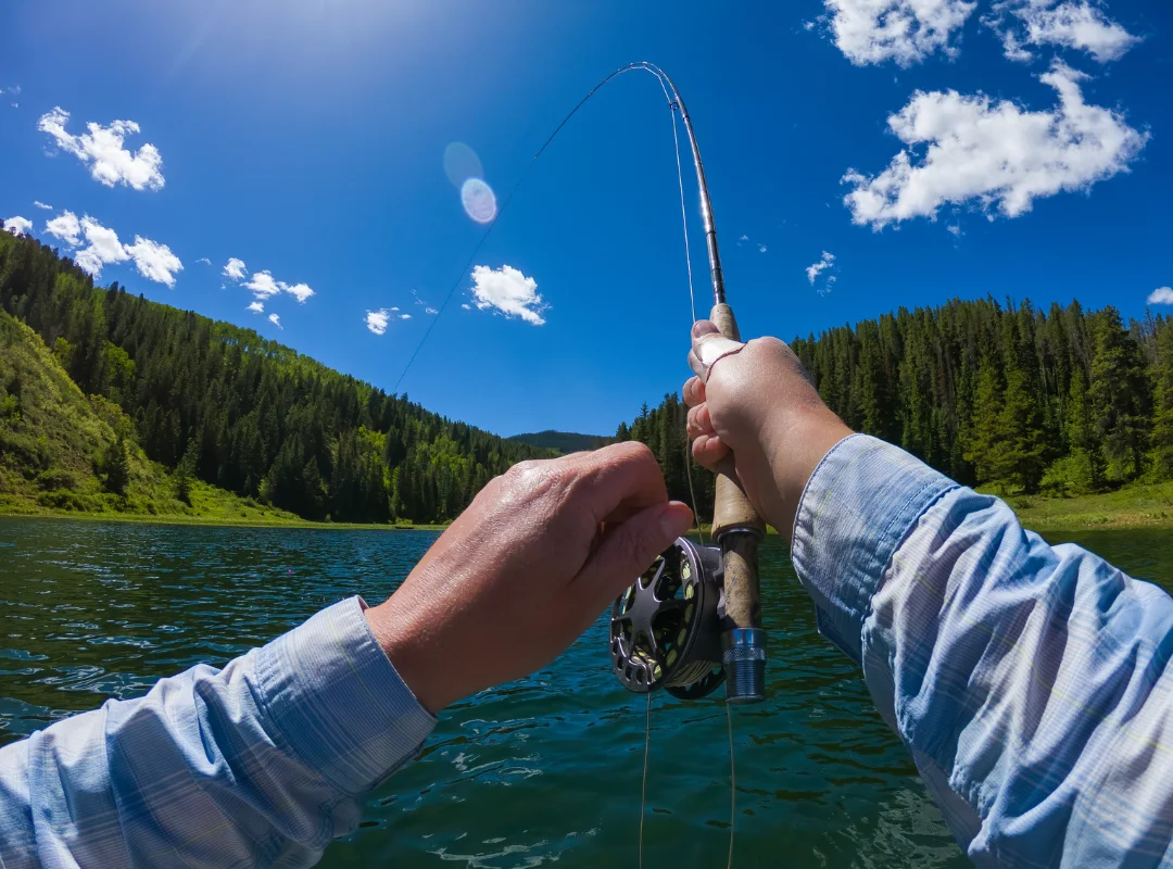 How Do You Read a Stream for Trout