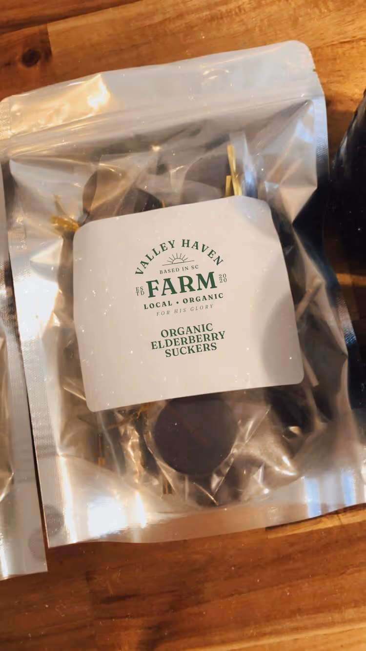 therapeutic herbal products