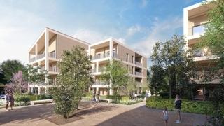 TERRASSES SUR LUBERON 1