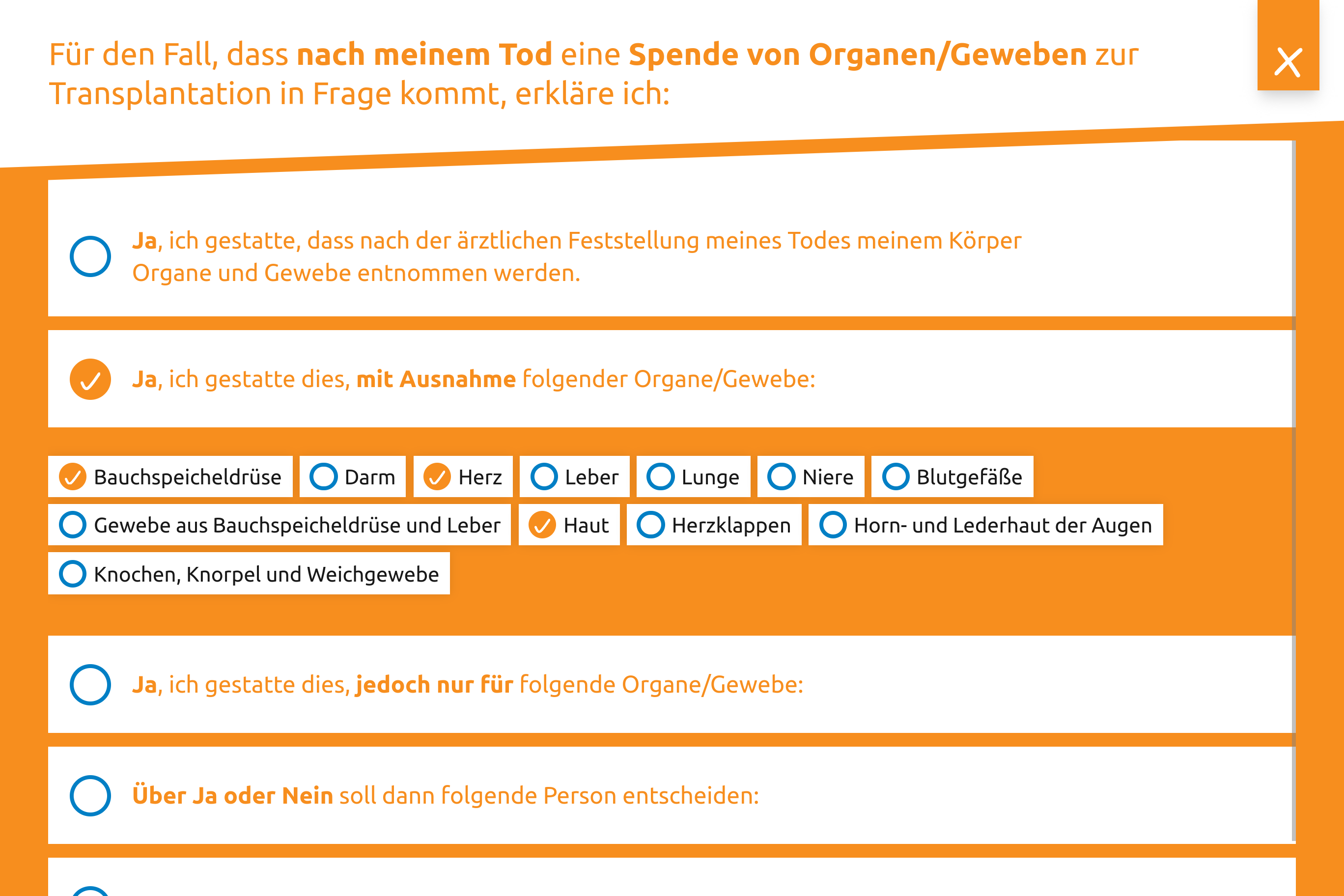 Entscheidungsassistent mit Auswahloptionen