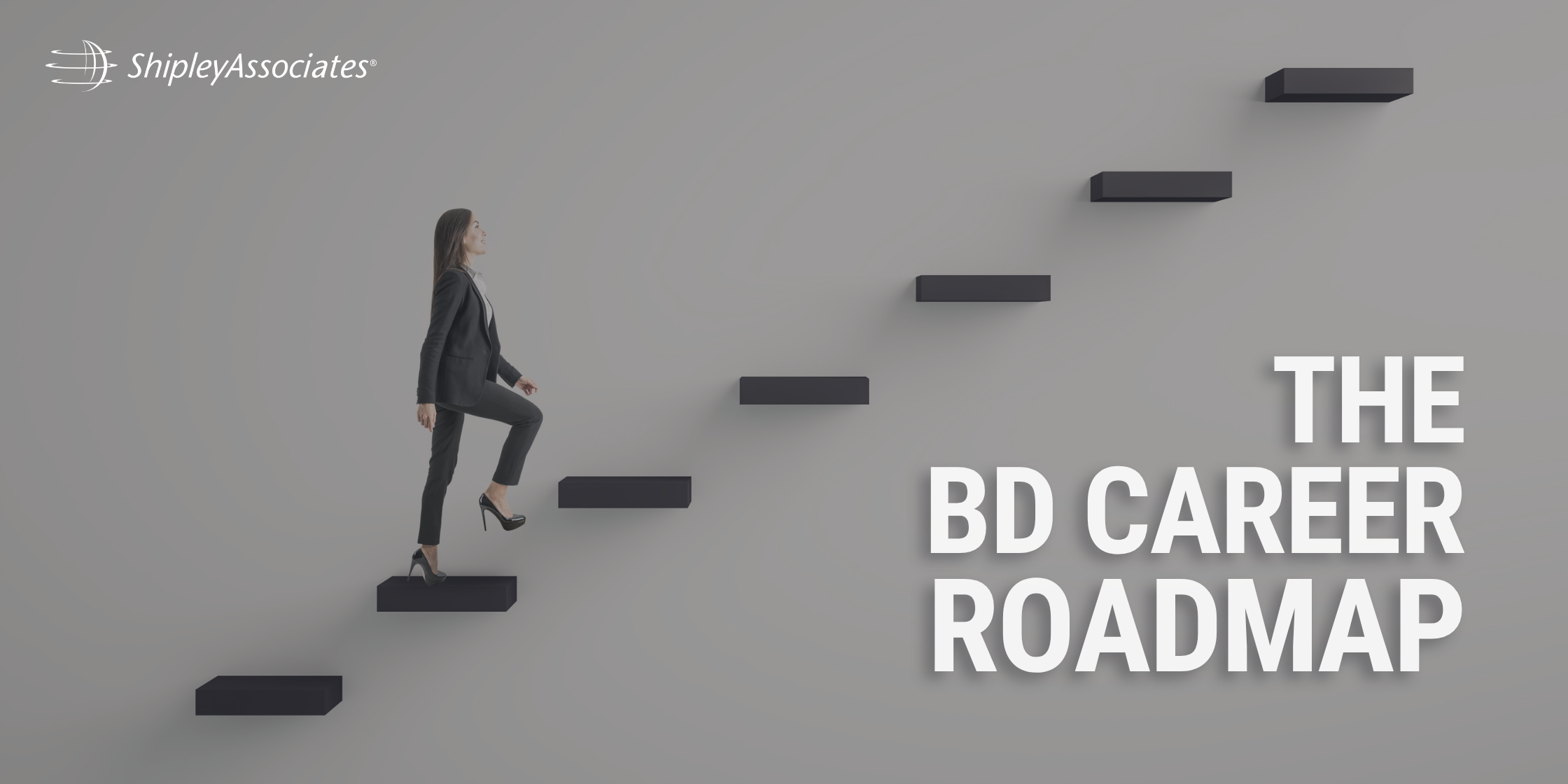 Roles and Career Development in a Complex Bid Environment 