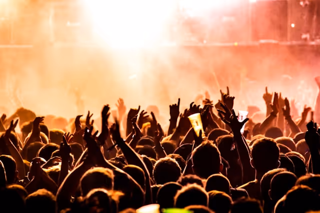 crowd at a live performance event