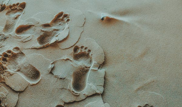 Planeje sua viagem pé na areia!