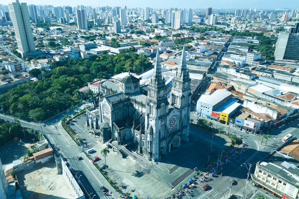 Planeje a sua viagem de natal com a Gontijo