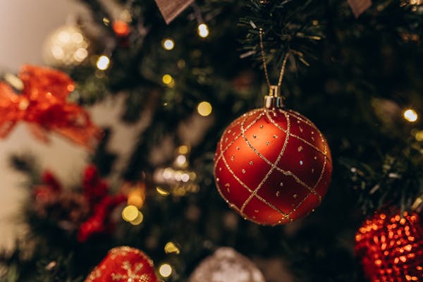 Planeje a sua viagem de natal com a Gontijo