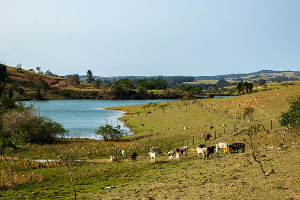 Sua viagem para Campinas com a Gontijo