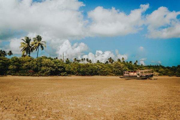 Saiba como viajar de ônibus para Pernambuco com a Gontijo