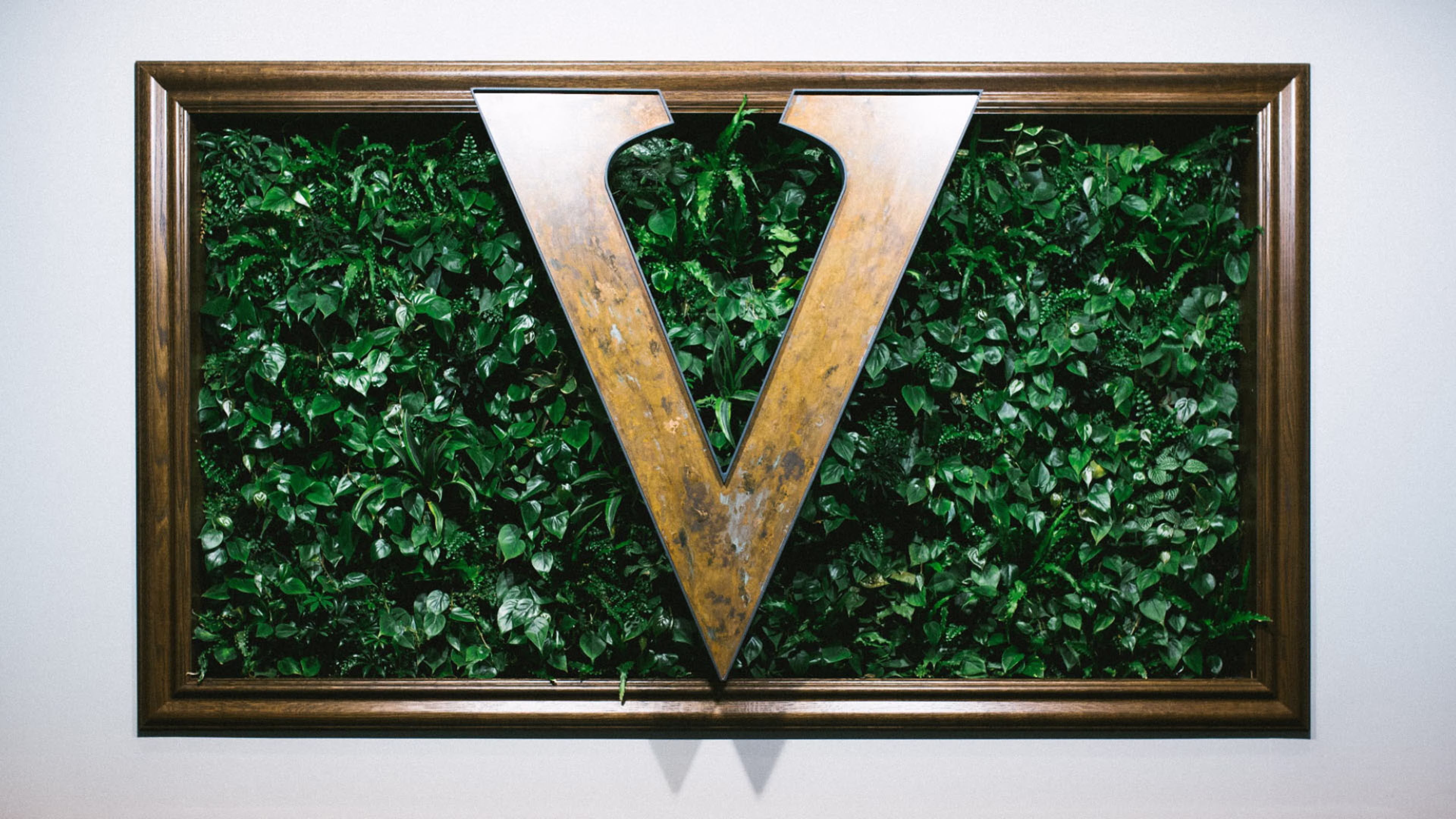 Logo for Hotel Vandivort featuring a large stylized letter V above the words HOTEL VANDIVORT.