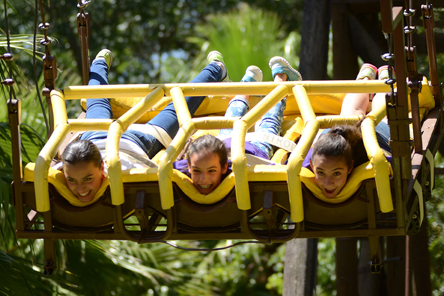 The Best Summer Experience: Unique Activities at Camp Santa Úrsula