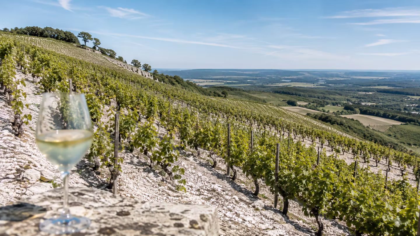 2019 Pattes Loup Chablis Premier Cru “Butteaux”