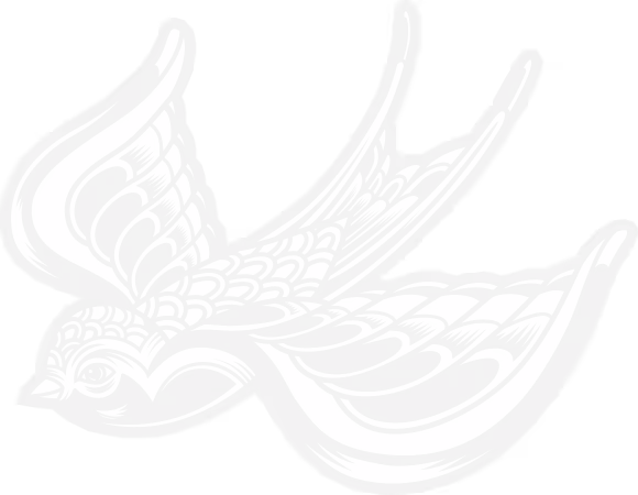 Vintage-style swallow tattoo sketch with intricate wing details