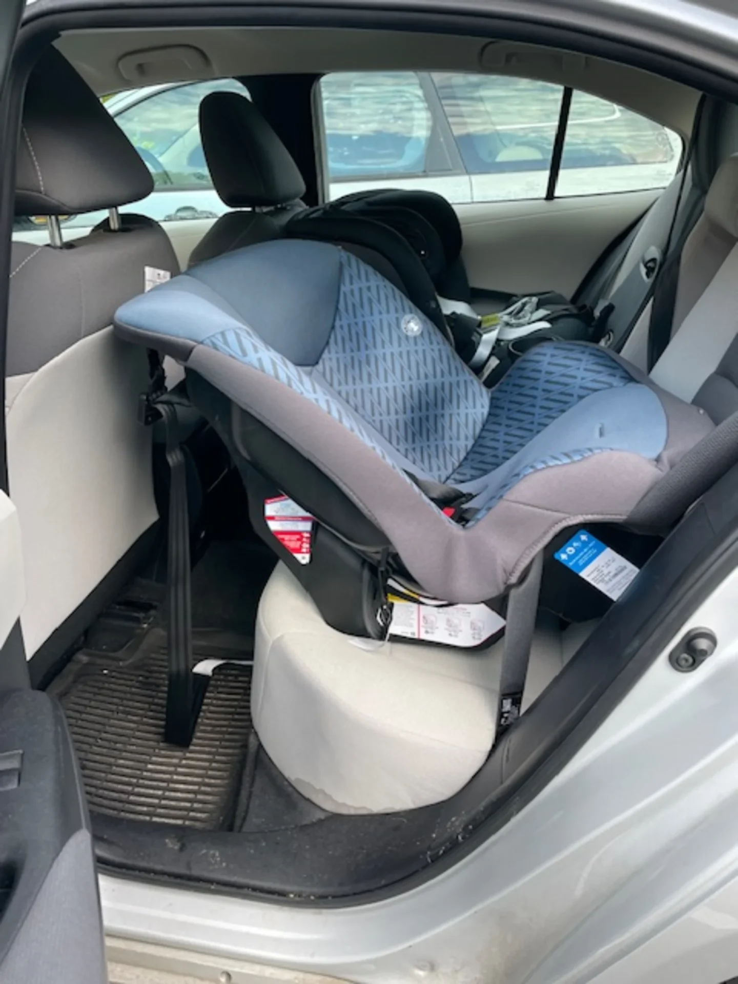Cosco Scenera Extend convertible car seat in blue patterned fabric installed rear-facing in a vehicle back seat