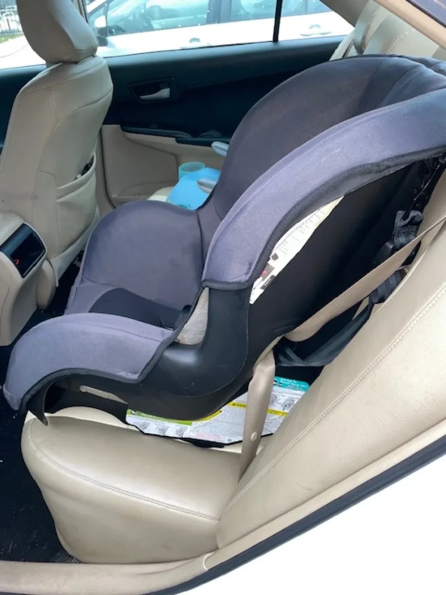 Evenflo Titan 65 convertible car seat in dark grey installed rear-facing on beige leather back seat of a sedan in Canada