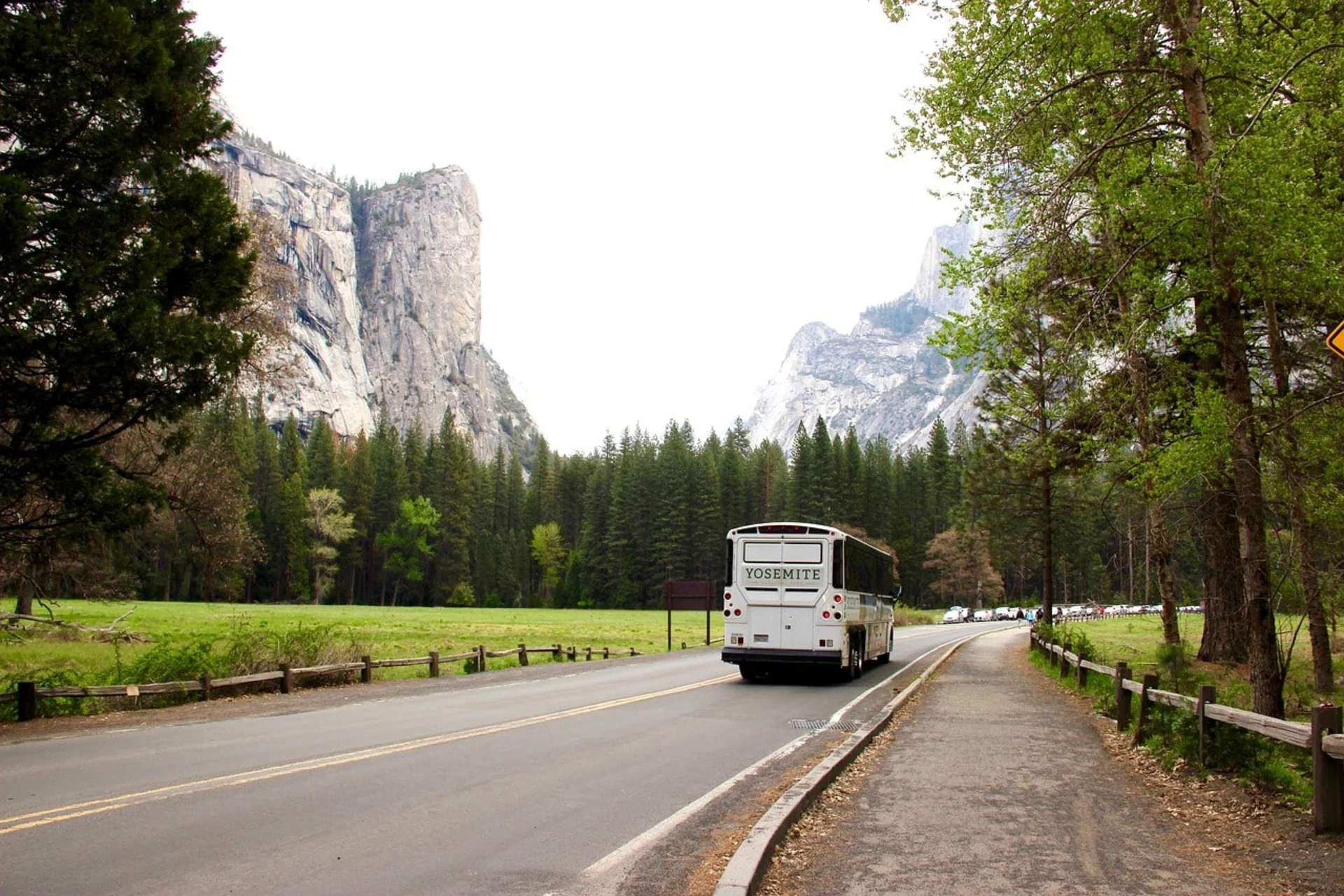 A Yosemite tour bus drives along a scenic valley road flanked by pine trees and towering granite cliffs in Yosemite National 