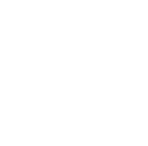 Little Death Logo, Comprising of a skull with a heart and bold typography
