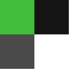 A square divided into four equal smaller squares: top left is green, top right is black, bottom left is dark gray, and bottom right is white.