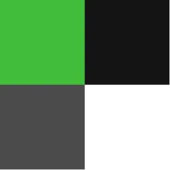 A square divided into four equal smaller squares: top left is green, top right is black, bottom left is dark gray, and bottom right is white.