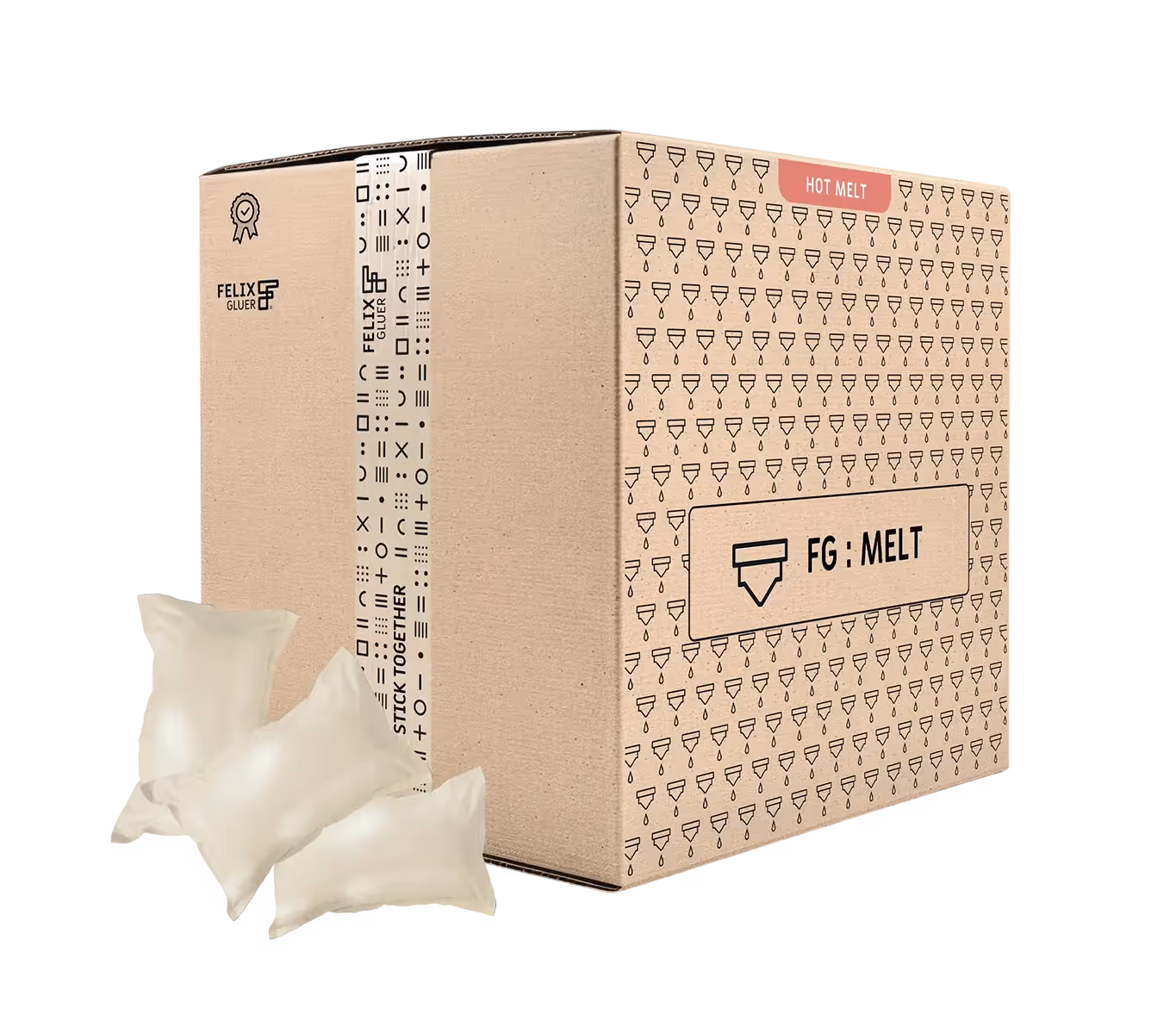 FG : MELT presentation