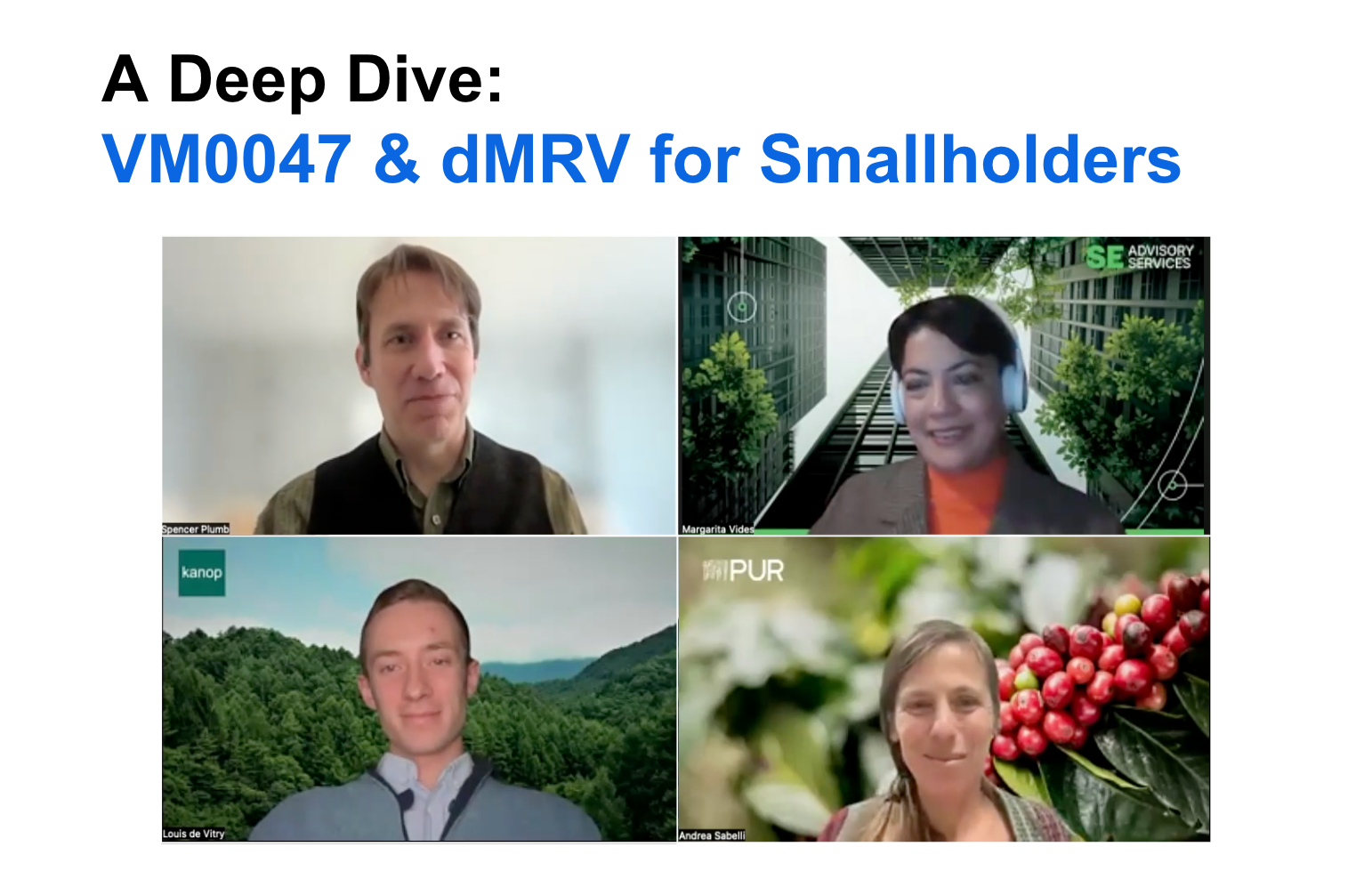 Expert panel on VM0047 and dMRV for smallholder projects