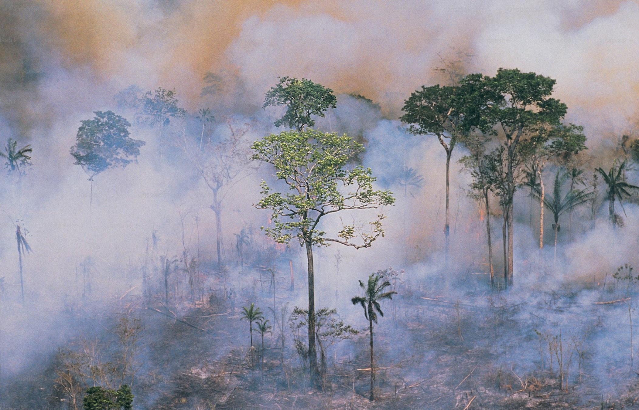 Deforestation and fire, illustrating Verra's VM0048 REDD+ methodology