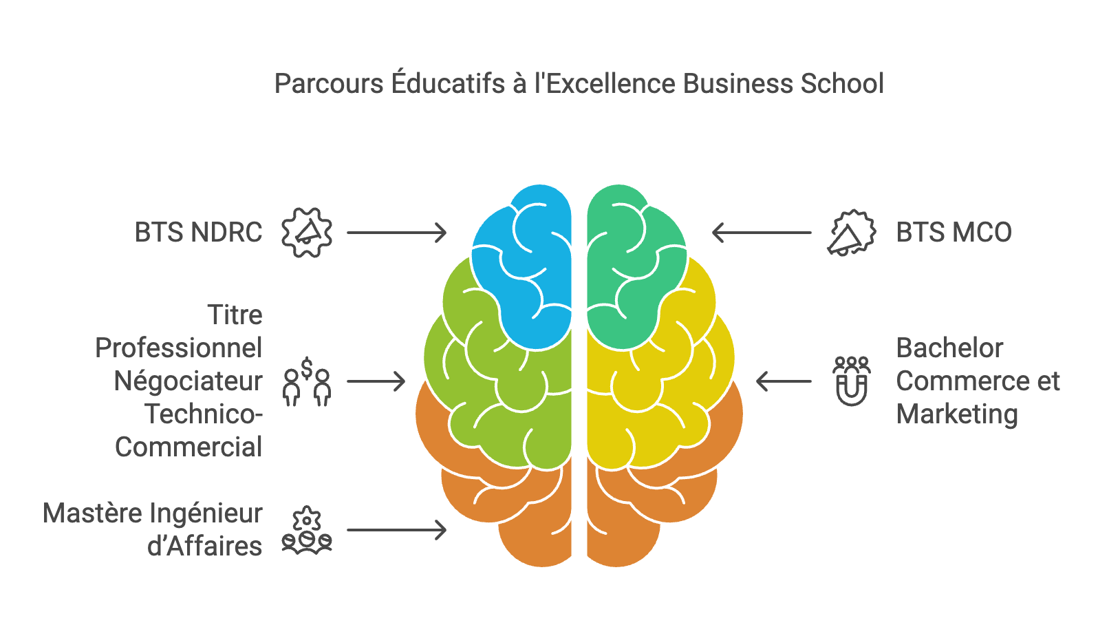 Quels types de contrats en alternance dans une école de commerce ?
