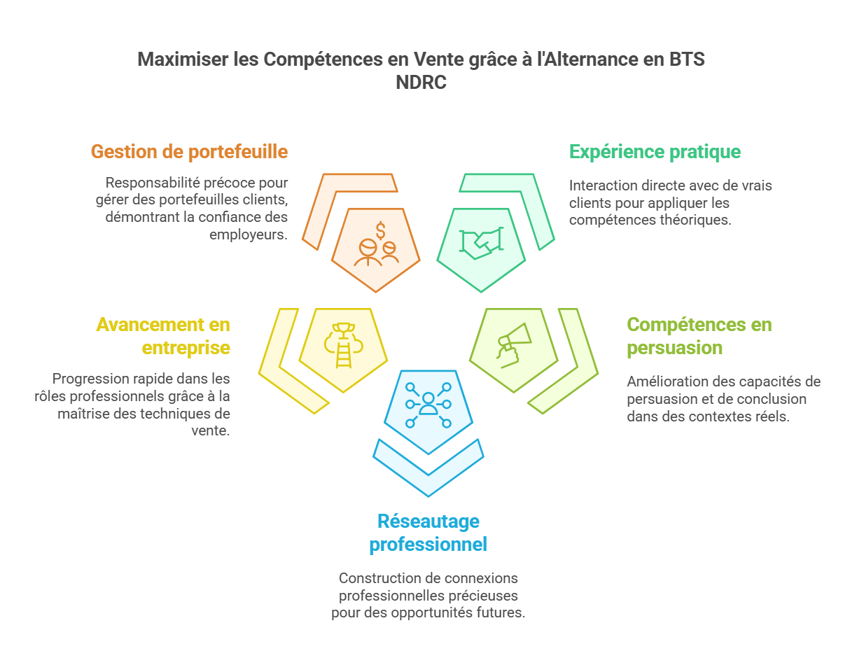 Maîtrisez l’art de la négociation et devenez un commercial d’excellence avec un BTS NDRC