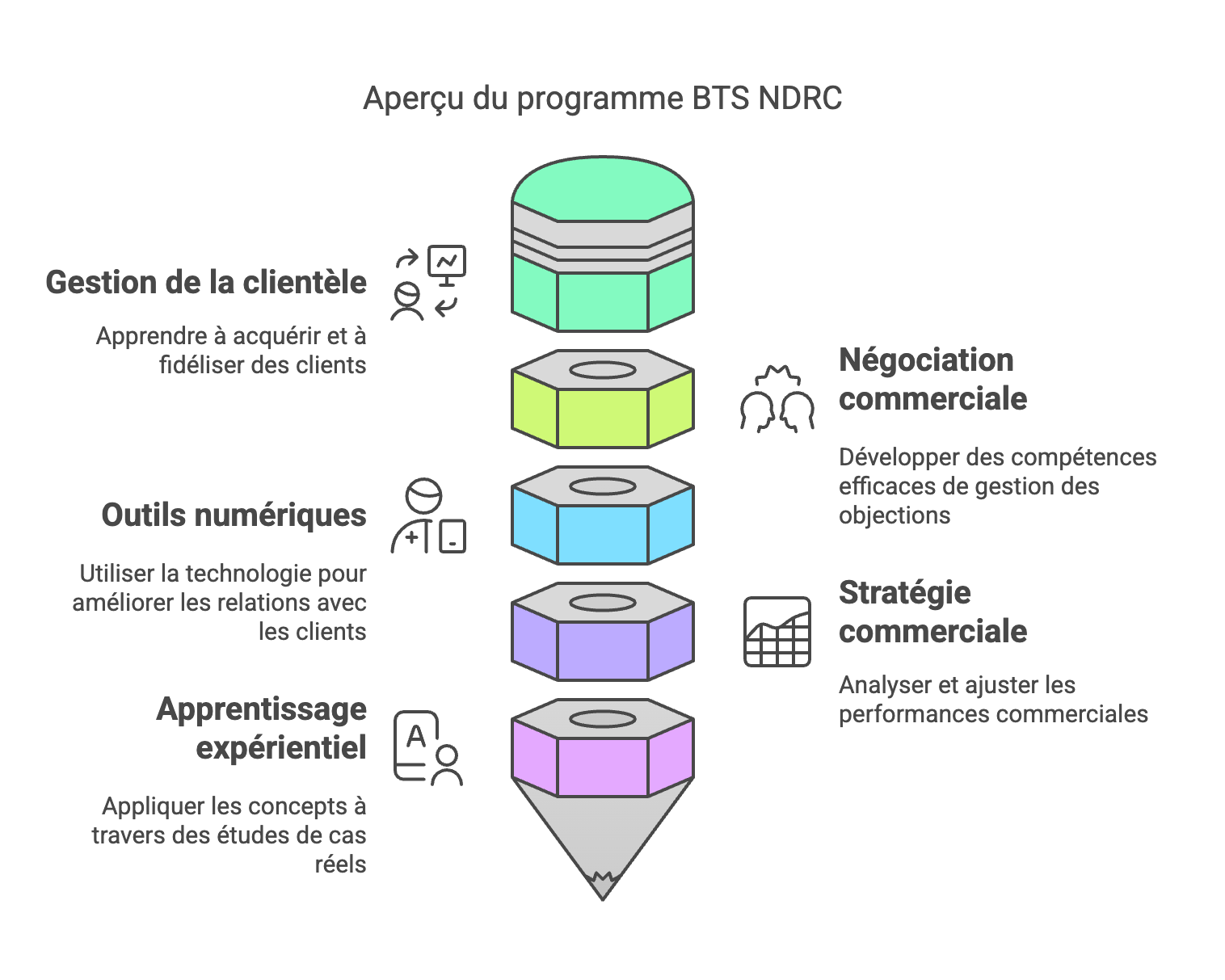 BTS NDRC en Alternance : Une formation stratégique pour devenir expert en relation client et Développement Commercial