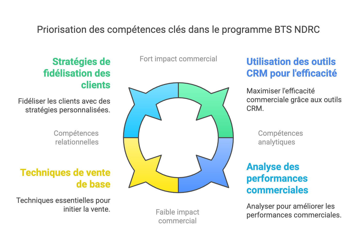 BTS NDRC : Une formation dynamique pour maîtriser la Relation Client et la Stratégie Commerciale 
