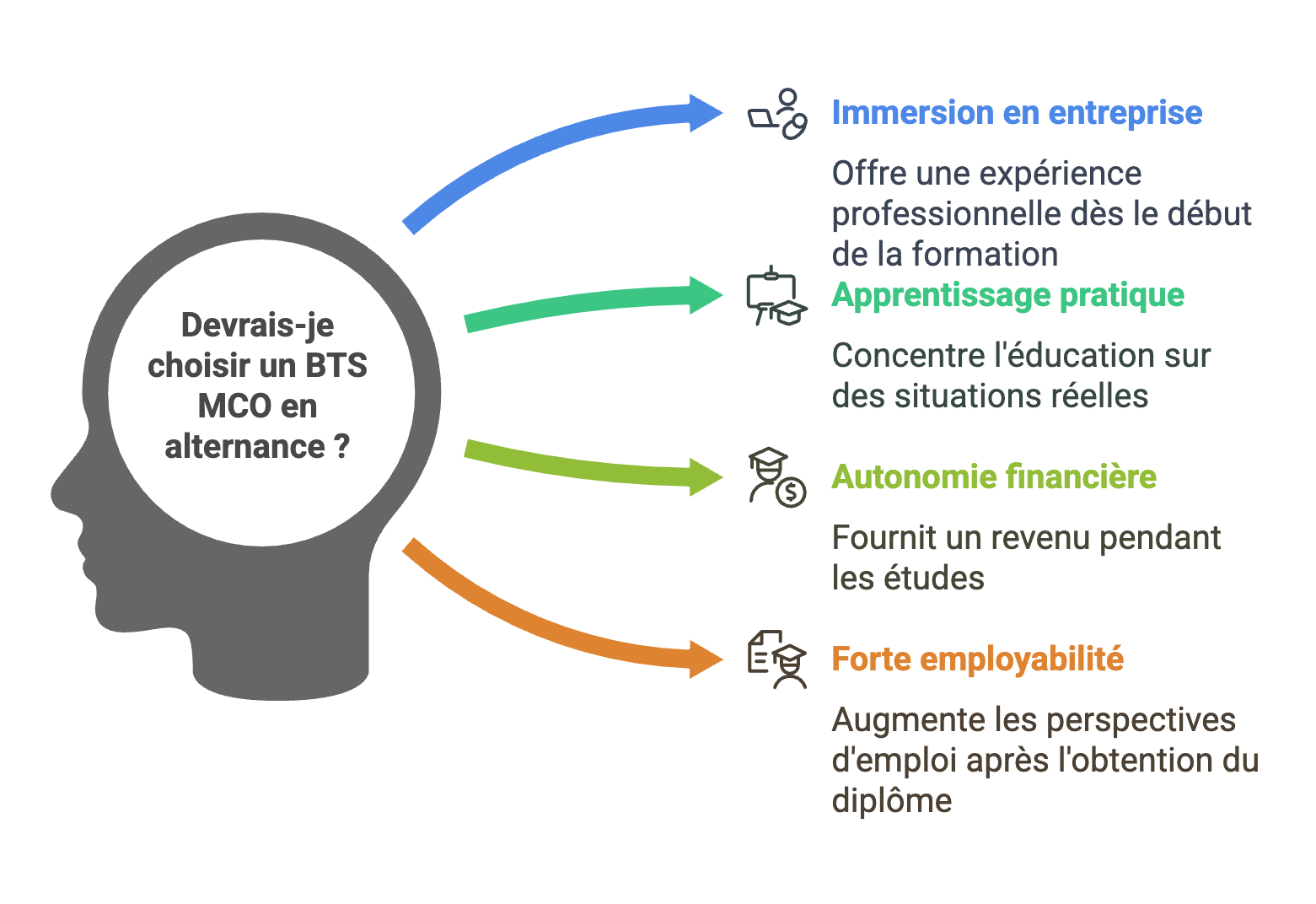 BTS MCO : La formation Idéale pour devenir un Manager Commercial polyvalent 