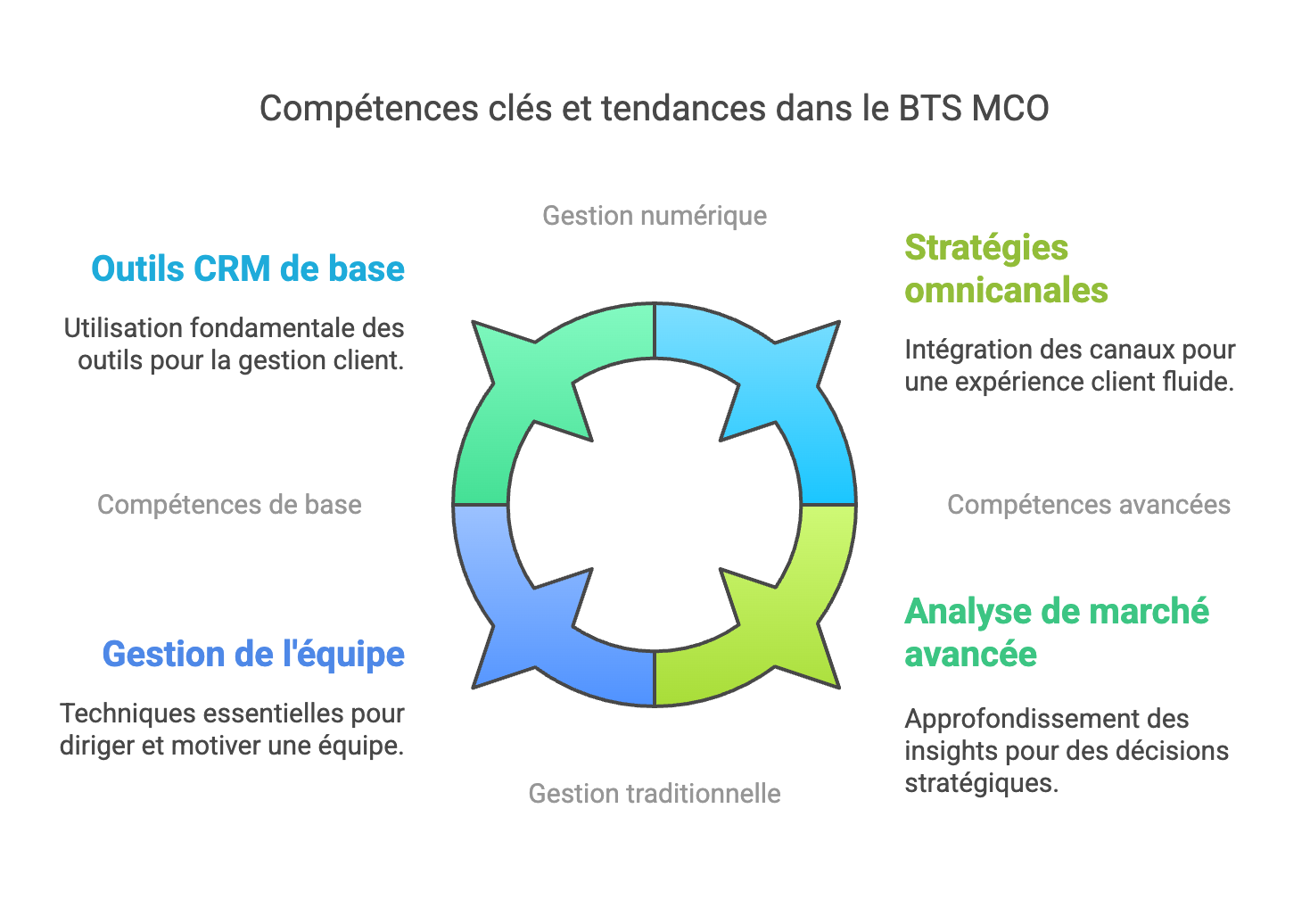 BTS MCO à Deuil-la-Barre : Suivez une formation complète pour devenir un Manager du Commerce et de la Distribution 