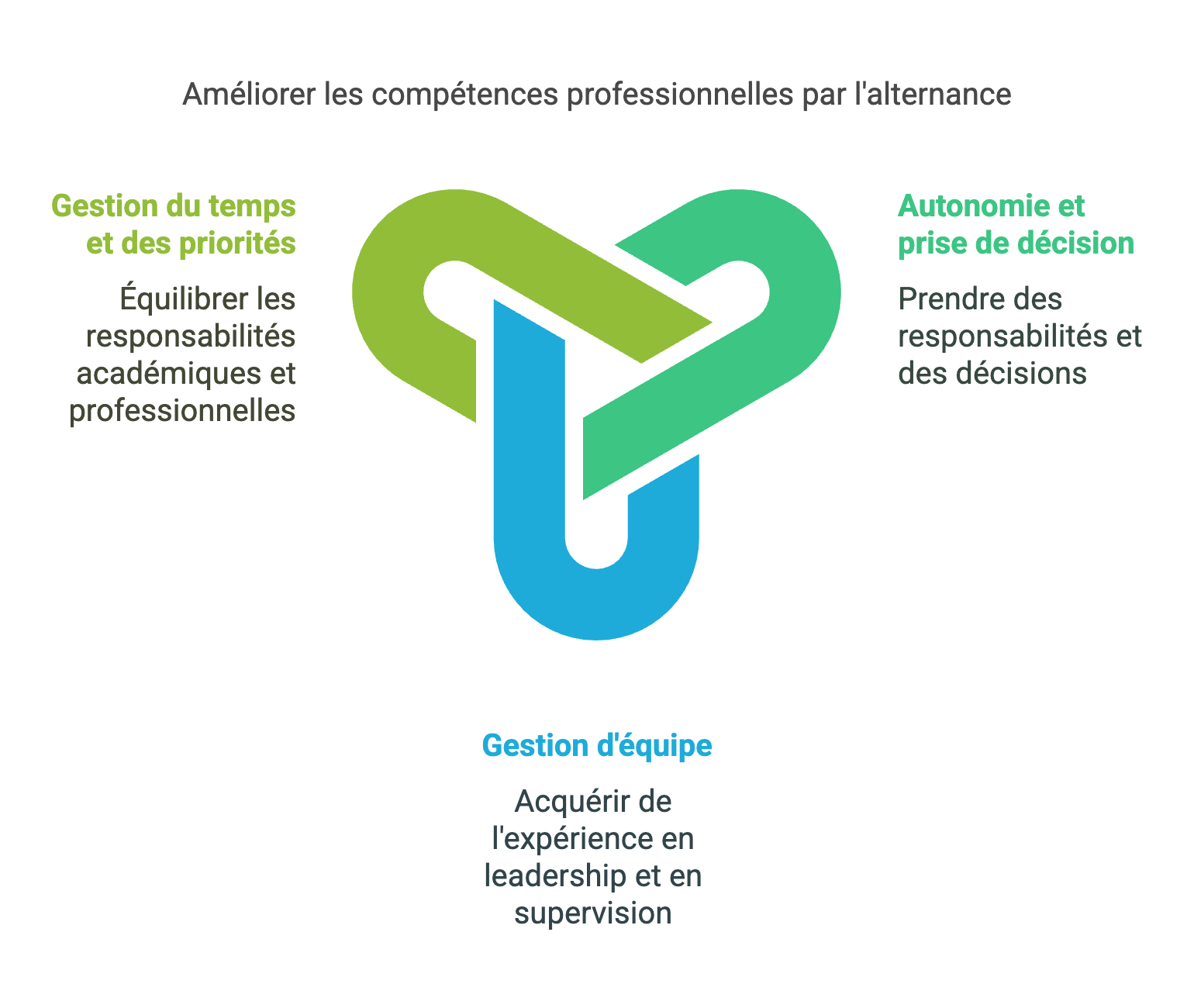 Alternance : Un tremplin pour développer son leadership et sa gestion d’équipe