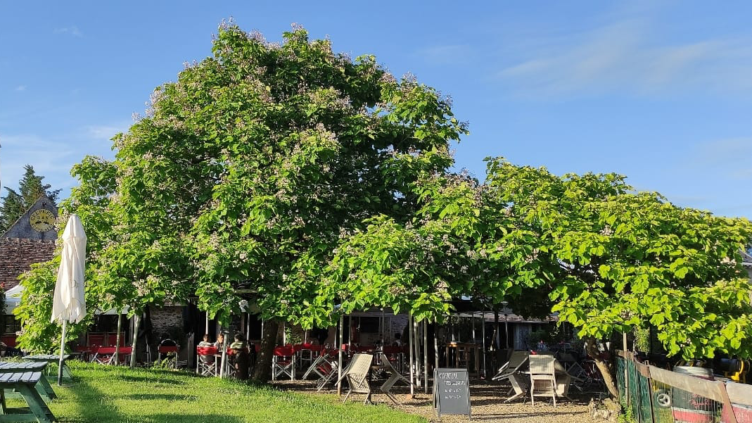 L’Auberge de la Mignardière à Ballan