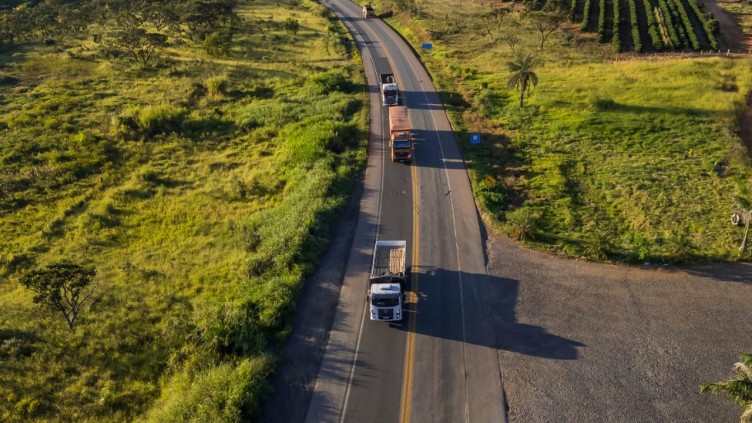 Newsletter #29: leilão da Rota Sertaneja registra um dos maiores deságios da temporada