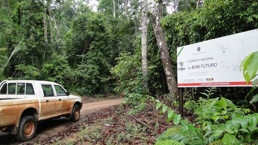 PPP do Bom Futuro: R$ 86 milhões apostados no carbono de uma floresta que ainda vai crescer