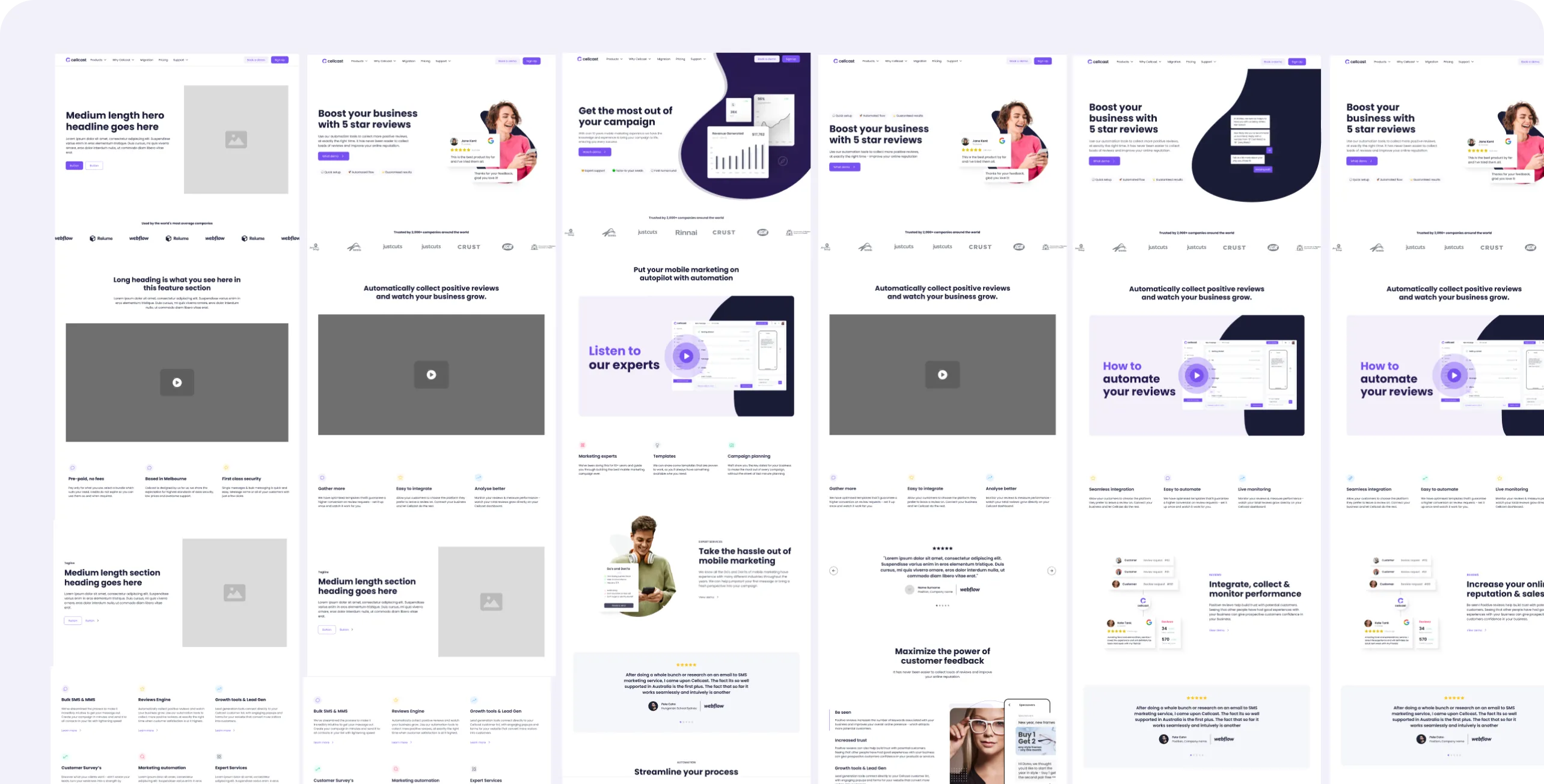Website template designs showing business marketing with customer reviews, automation, and campaign features.