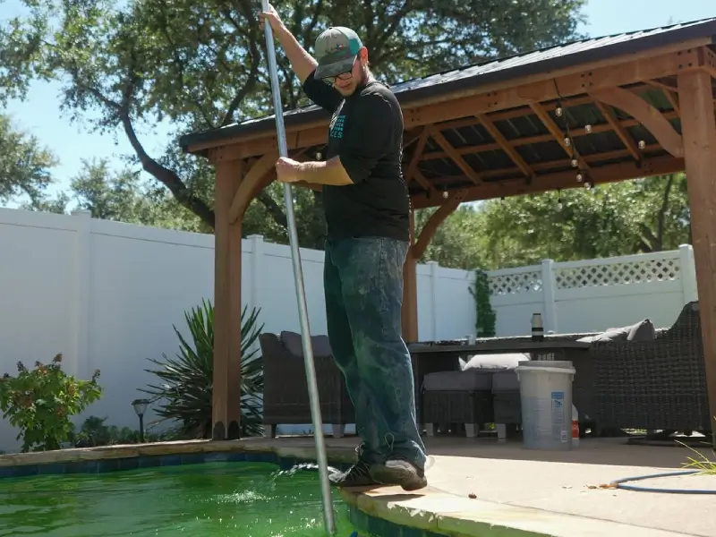 mustard algae treatment