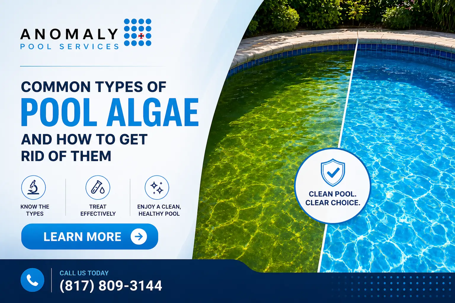 Common Types of Pool Algae and How to Get Rid of Them