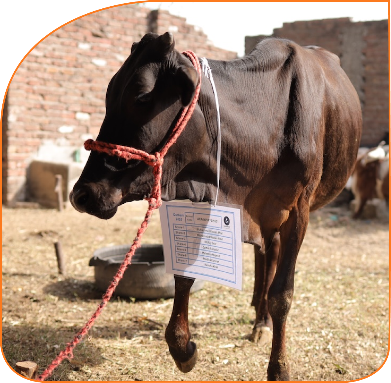 Alkhidmat Europe – Donate