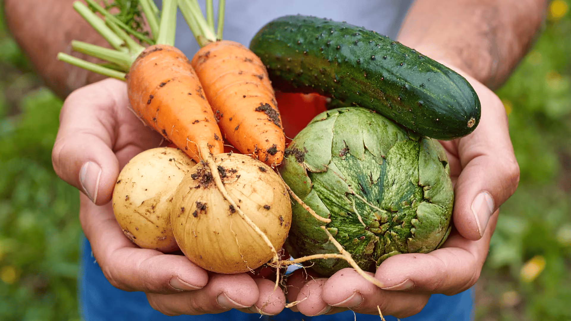 sharing vegetables