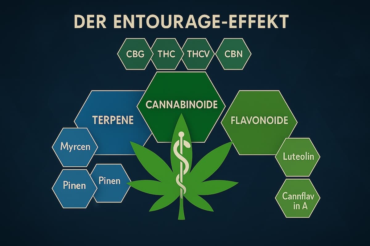 Grafik zum Entourage-Effekt