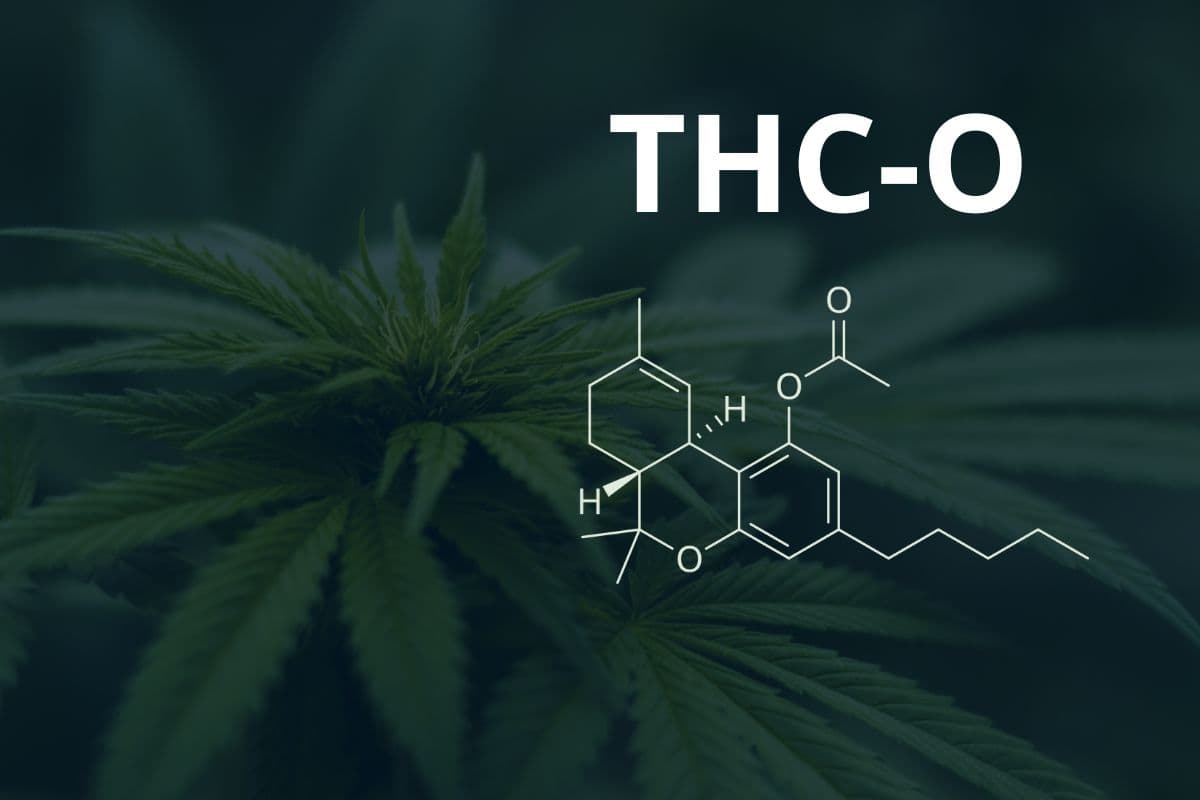 THC-O