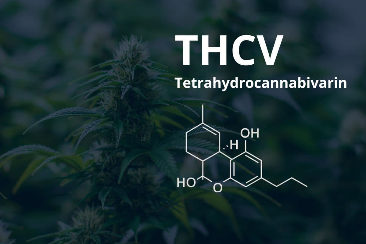Molekulare Struktur von THCV (Tetrahydrocannabivarin)